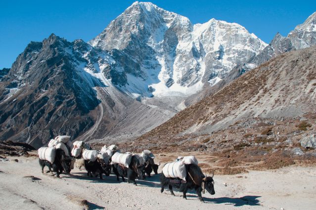 Trek - Kala Pattar, panorama sur l\'Everest