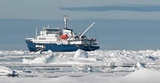 Les croisières
polaires