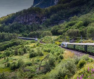 Voyages accessibles en train