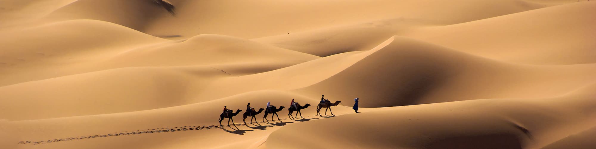 Voyage Randonnée avec chameau © Aguminus