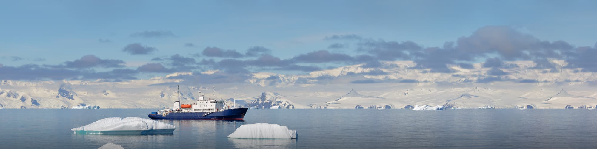 Observation animalière Péninsule antarctique © Alexey Seafarer / Adobe Stock