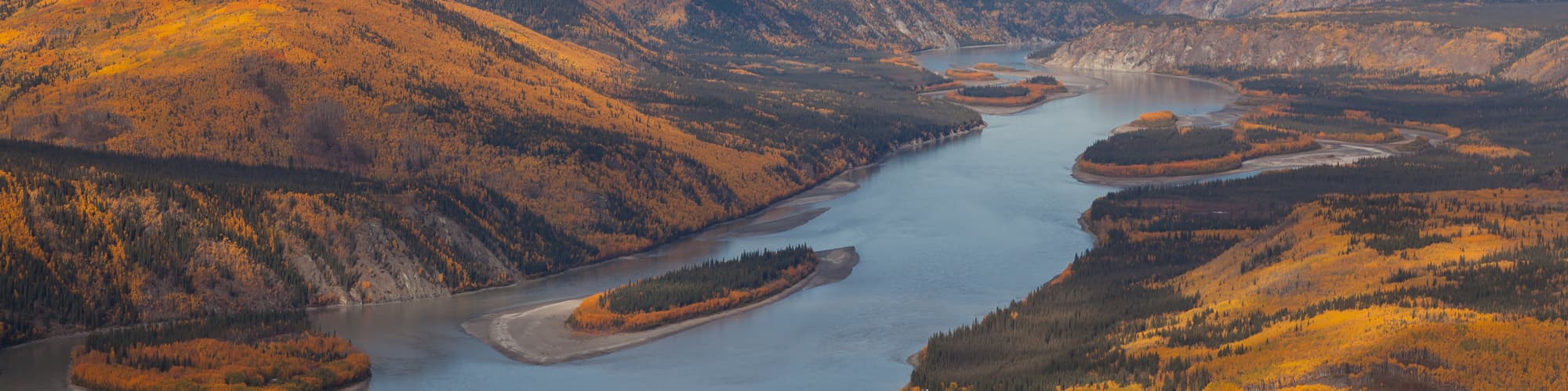 Traîneau à chiens Yukon © namibelephant