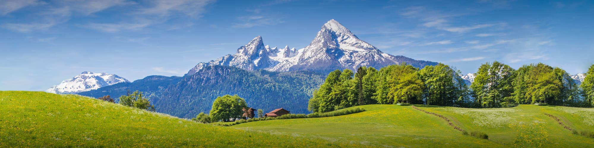 Voyage liberté Oberland © bluejayphoto