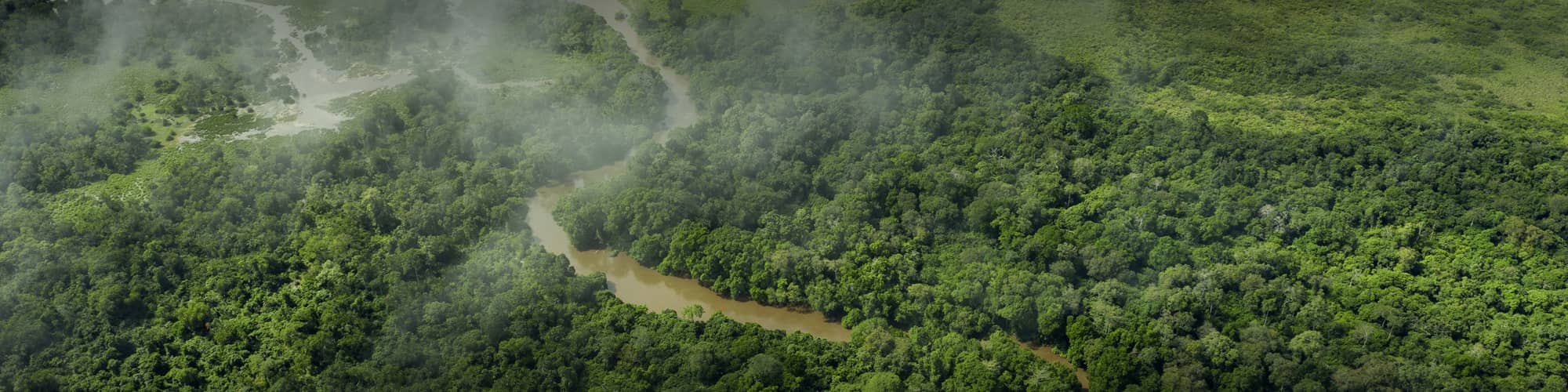 Voyage en groupe Congo © guenterguni