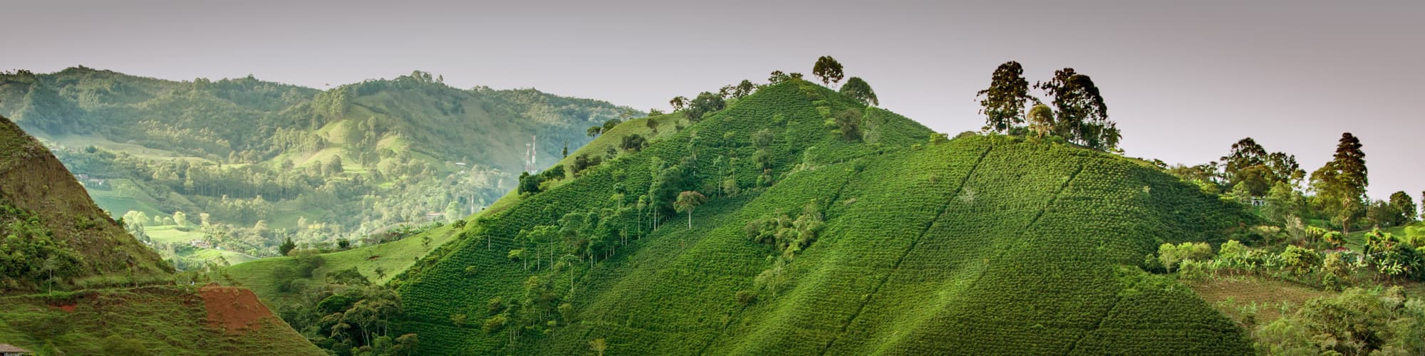Randonnée Colombie © Martin Nabert / Istock