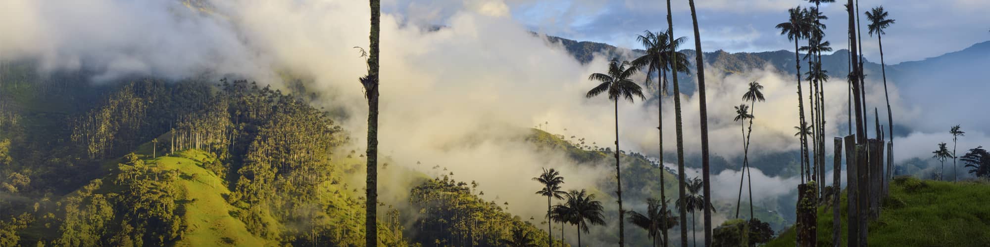 Voyage Forêts, collines, rivières et lacs Colombie © Martin Nabert / Istock