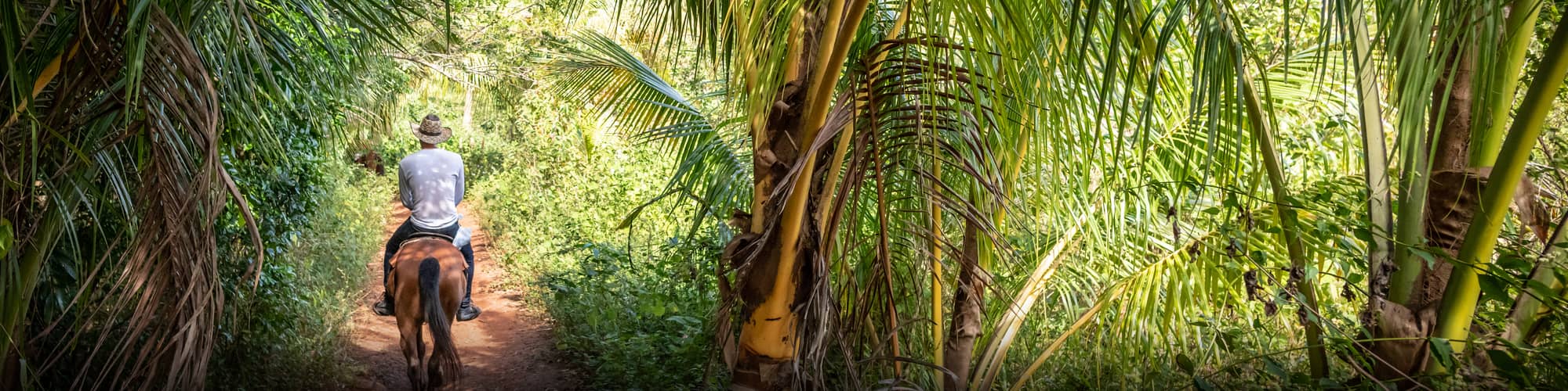 Cuba à vélo © MaxB77 / Istock