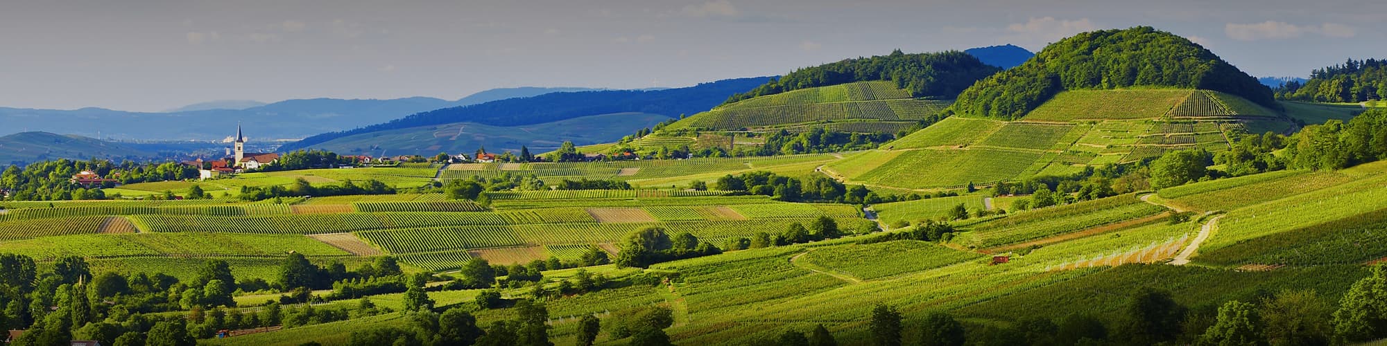 L'Allemagne à vélo © Erich Spiegelhalter/STG/Schwarzwald Tourismus OT