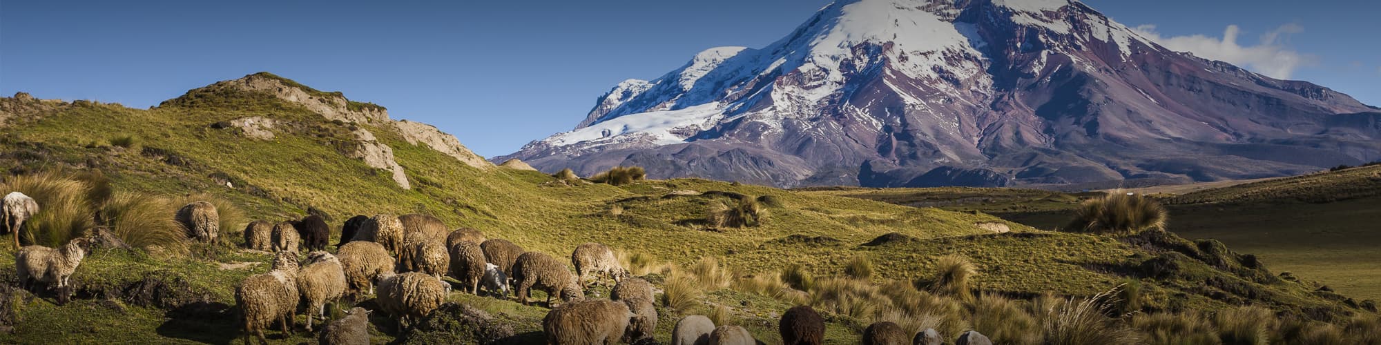 Randonnée Equateur © PatricioHidalgoP / Istock