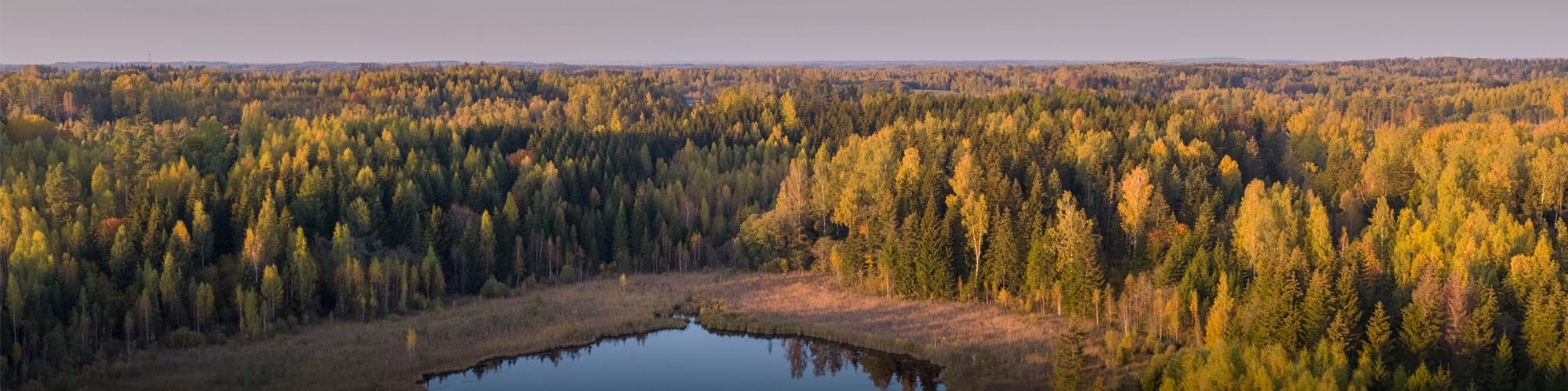 Randonnée en Estonie : circuit, trek et voyage  © Peeter Viisimaa/iStock
