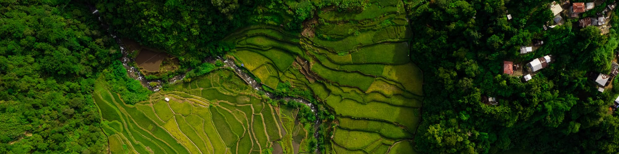 Randonnée Bali © victor cuenca lopez