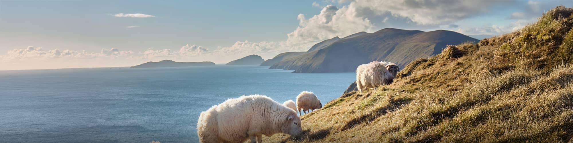 Voyage Irlande  Vélo, circuit et randonnée Irlande