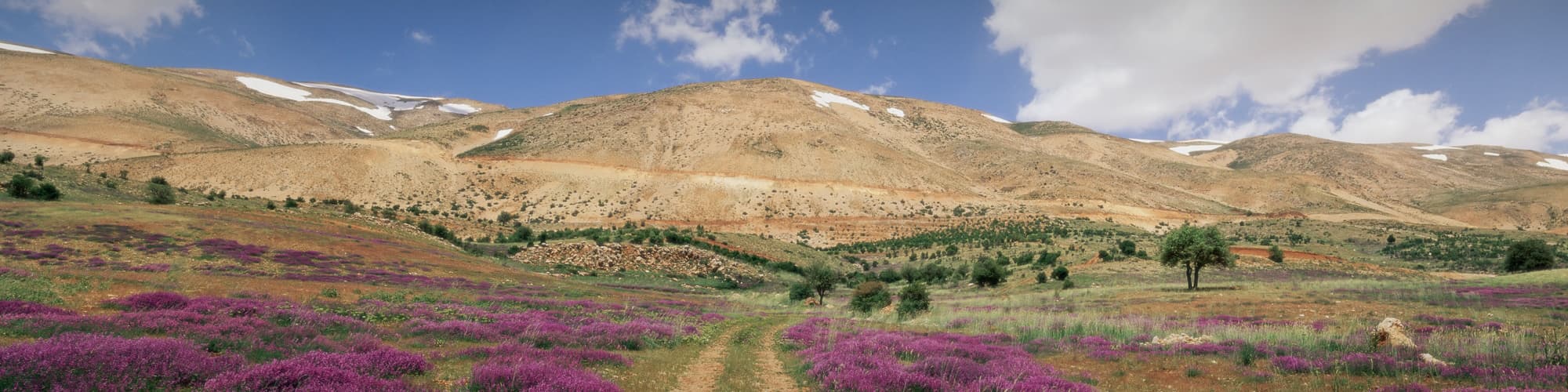Trek au Liban : circuit, randonnée et voyage © Tony85/stock.adobe.com