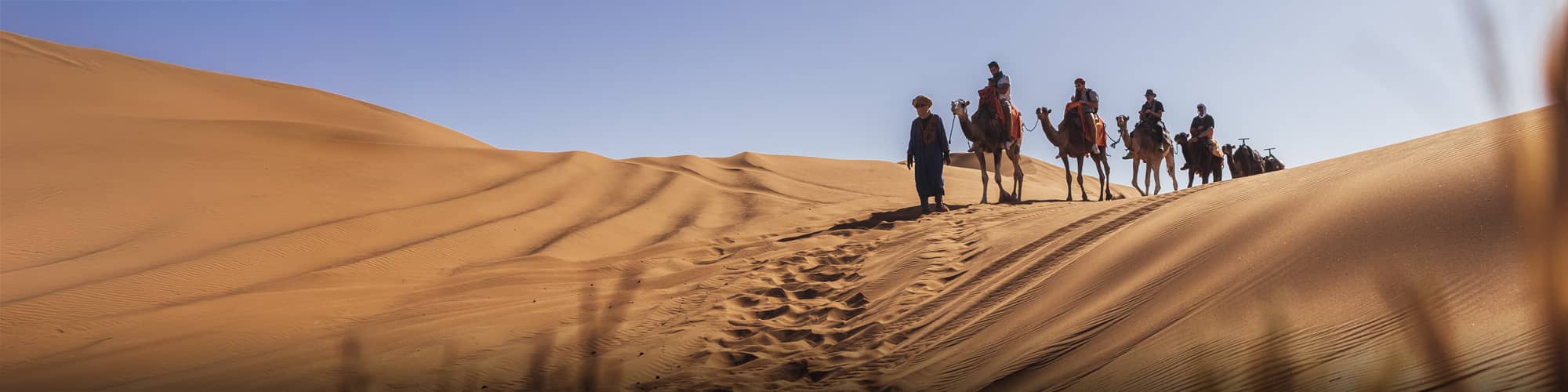 Trek dans le Sahara : circuit, randonnée et voyage © Pavliha