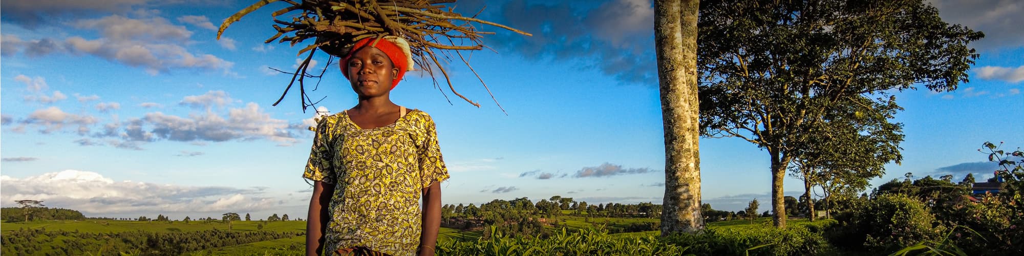 Voyage Forêts, collines, rivières et lacs Malawi © wilpunt