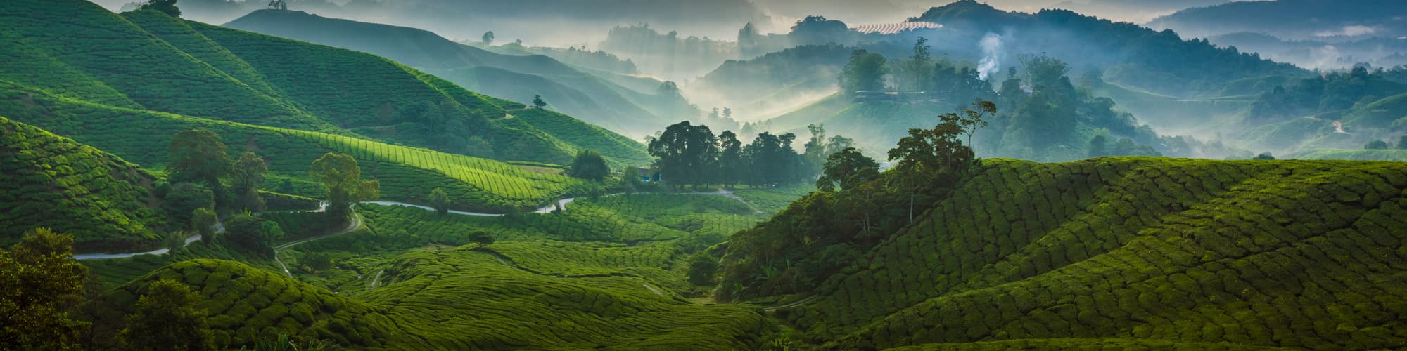 Voyage en groupe Malaisie © Black Cat Imaging / Adobe Stock