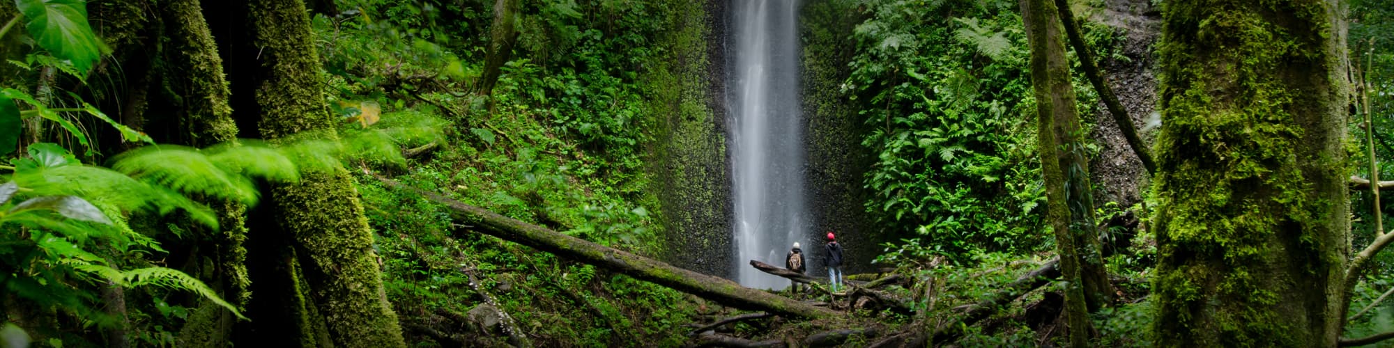 Trek au Panama : circuit, randonnée et voyage © Amaiquez / Adobe Stock