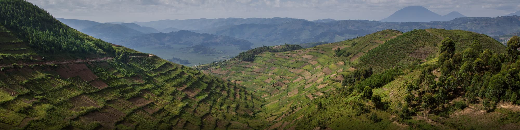 Randonnée Rwanda © guenterguni