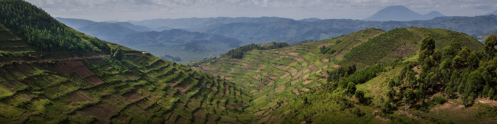 Safari Rwanda © guenterguni