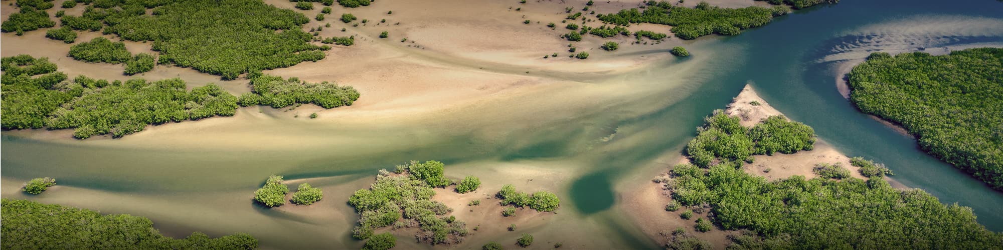 Trek au Sénégal : circuit, randonnée et voyage  © mariusz_prusaczyk