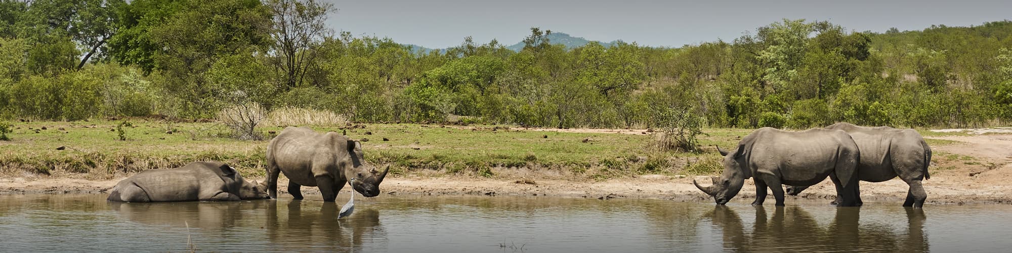 Safari au Eswatini : circuit, trek et voyage © Jens Otte