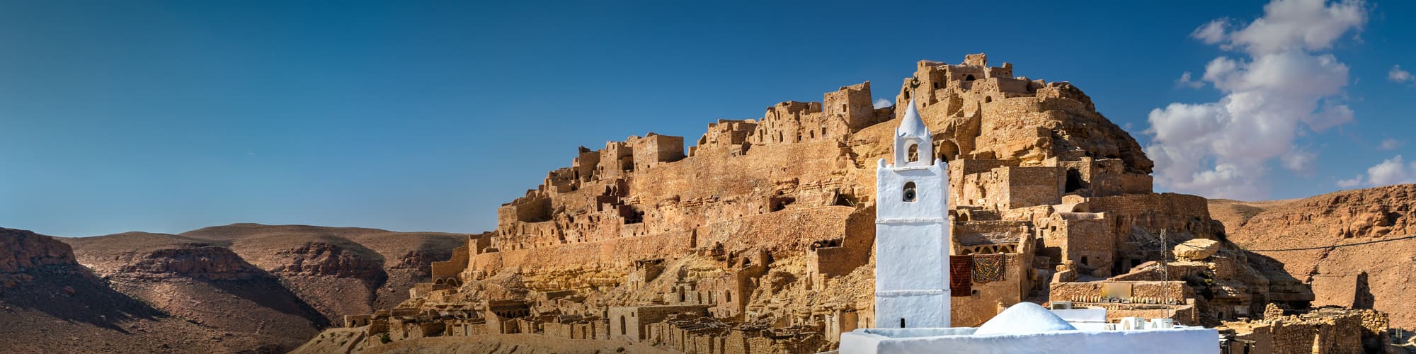 Randonnée avec chameau Tunisie © Leonid Andronov