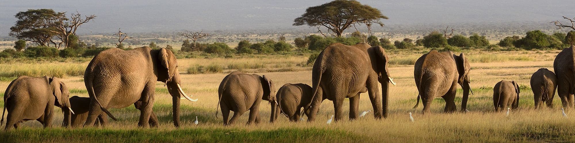 Voyages en groupe au Ngorongoro