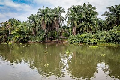 Navigation le long du fleuve Kwanza - Angola 