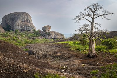 Le massif rocheux de Pedras Negras - Angola 