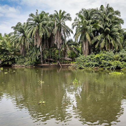 Découverte Angola