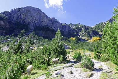 © Marianne Furlani - Vallée de Valbona - Alpes Albanaises - Albanie Vallée de Valbona - Alpes Albanaises - Albanie
