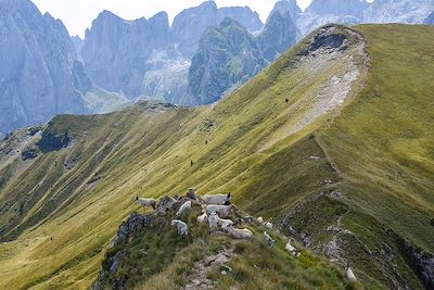 © Albert Pali  - Sommet de Vajusha - Lëpushë - Shkodër - Albanie Sommet de Vajusha - Lëpushë - Shkodër - Albanie