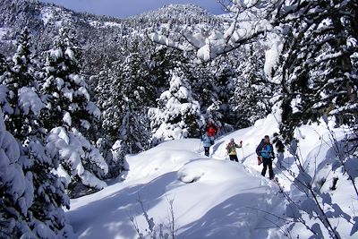 © Alain Barichello - Pyrénées - France Pyrénées - France