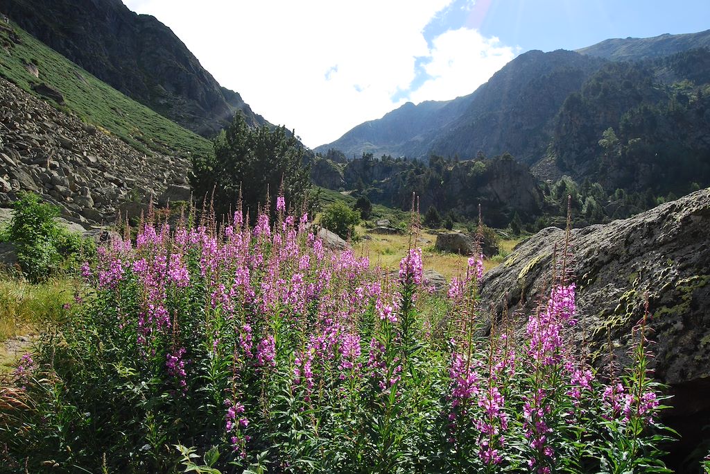 Image Ascensions Des Plus Hauts Sommets D'Andorre - Pic De Coma Pedrosa