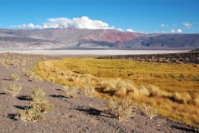 Quebrada de las Conchas - Cafayate - Province de Salta - Argentine