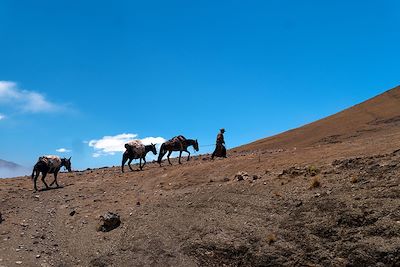 Salta - Argentine