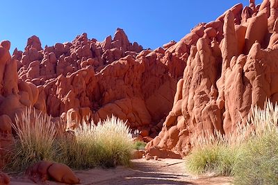 © Juliette De Swarte - Randonnée au canyon Acsibi - Argentine Randonnée au canyon Acsibi - Argentine