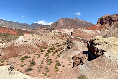 © Juliette De Swarte - Sentier de Los Estratos - Quebradda de las Conchas - Région de Salta - Argentine Sentier de Los Estratos - Quebradda de las Conchas - Région de Salta - Argentine