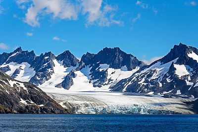 Voyage Expédition aux Iles Malouines et Géorgie du Sud 3