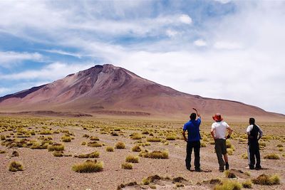 Le Volcan Tuzgle - Argentine