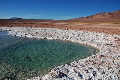Voyage Vallées, Altiplano et Puna du nord-ouest argentin 3
