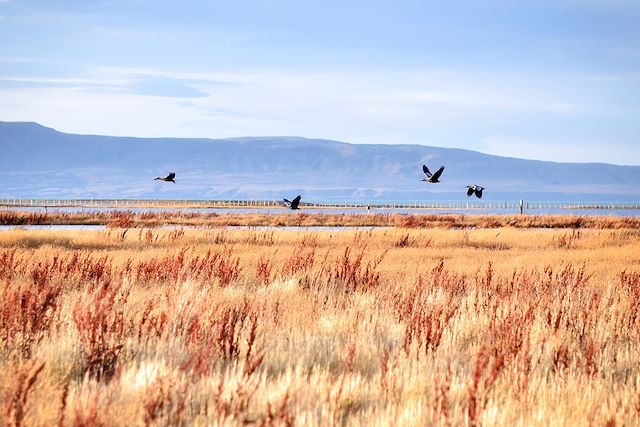 Voyage : Un souffle de liberté en Patagonie Voyage Un souffle de liberté en Patagonie