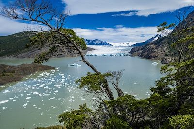 Mirador du glacier Grey - Parc national Torres del Paine - Patagonie - Chili