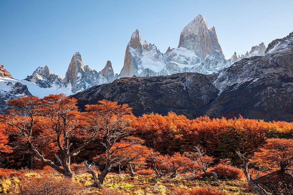 Image Terre De Feu - Trek Du W Torres Del Paine - Perito Moreno