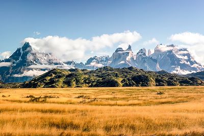 Trio de Patagonie: entre glaciers, fjords et pampa