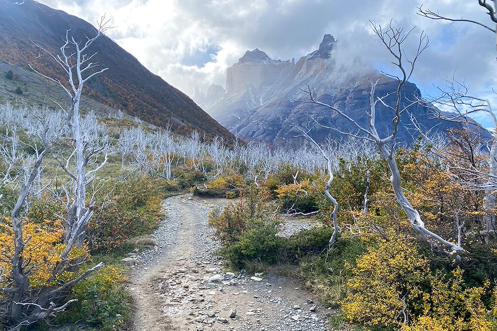 Image Terre De Feu - Trek Du W Torres Del Paine - Perito Moreno