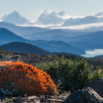 Trek Argentine Patagonie argentine