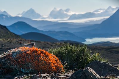 Parc Torres del Paine - Chili