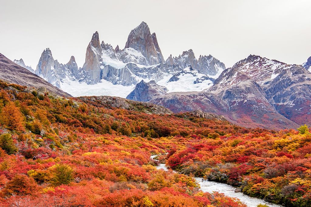 Image Trekking Perito Moreno - Trek Du O Torres Del Paine - Randonnée Patagonie