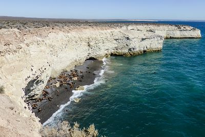 Péninsule Valdes - Province de Chubut - Argentine